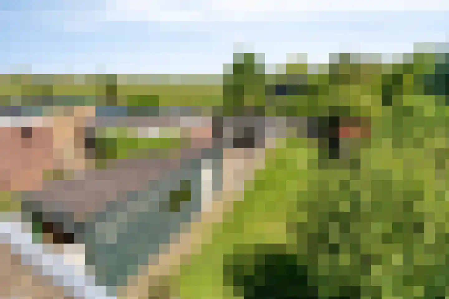 Communicatieweg Oost 4 Assendelft thumbnail 24