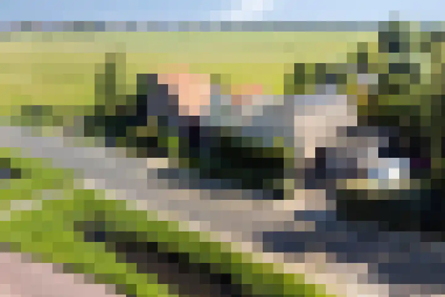 Communicatieweg Oost 4 Assendelft thumbnail 37