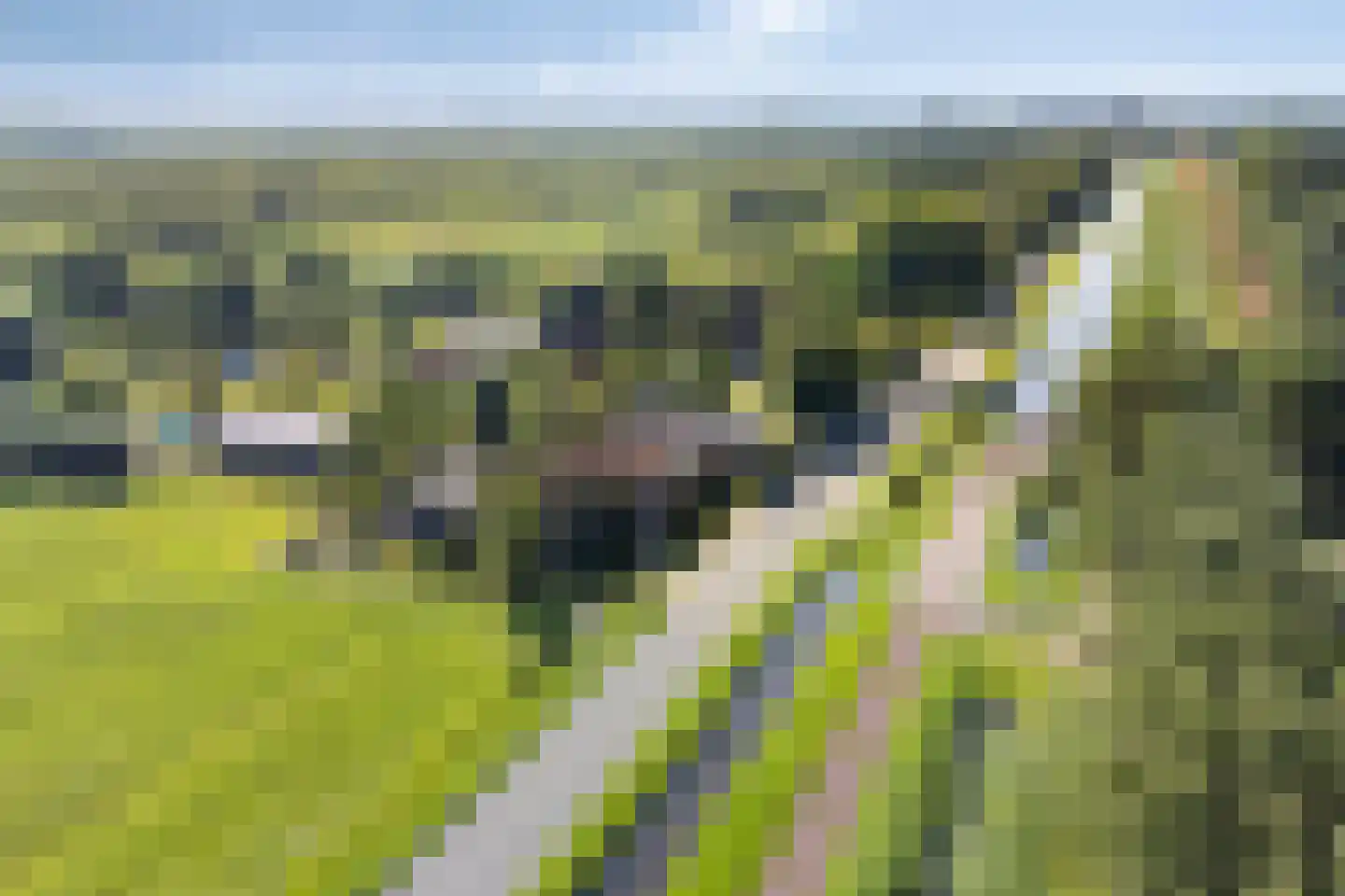 Communicatieweg Oost 4 Assendelft thumbnail 38