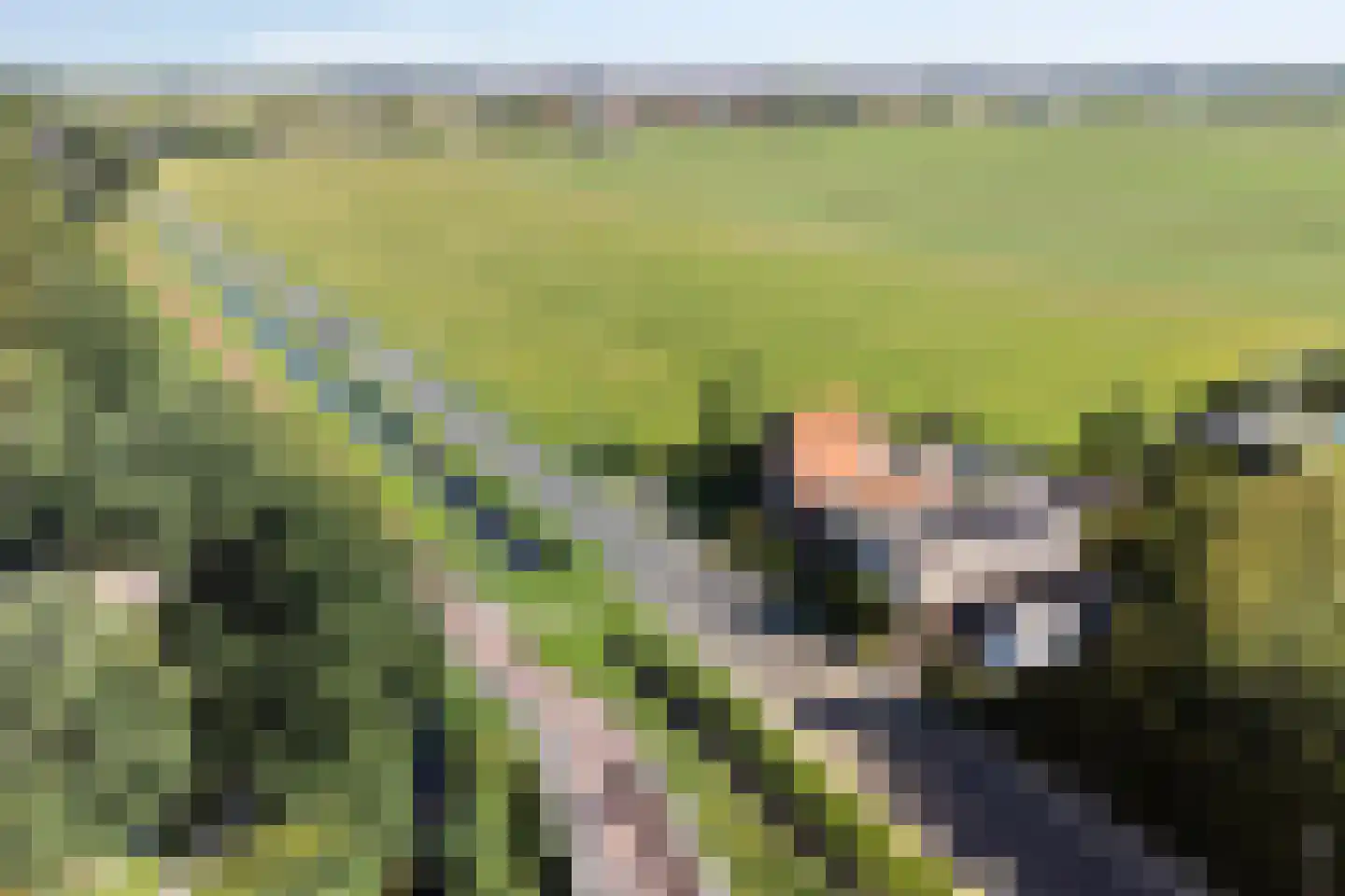 Communicatieweg Oost 4 Assendelft thumbnail 41