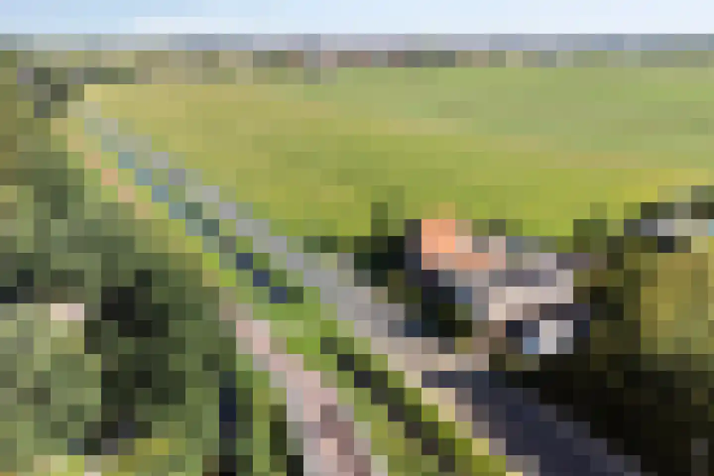 Communicatieweg Oost 4 Assendelft thumbnail 41