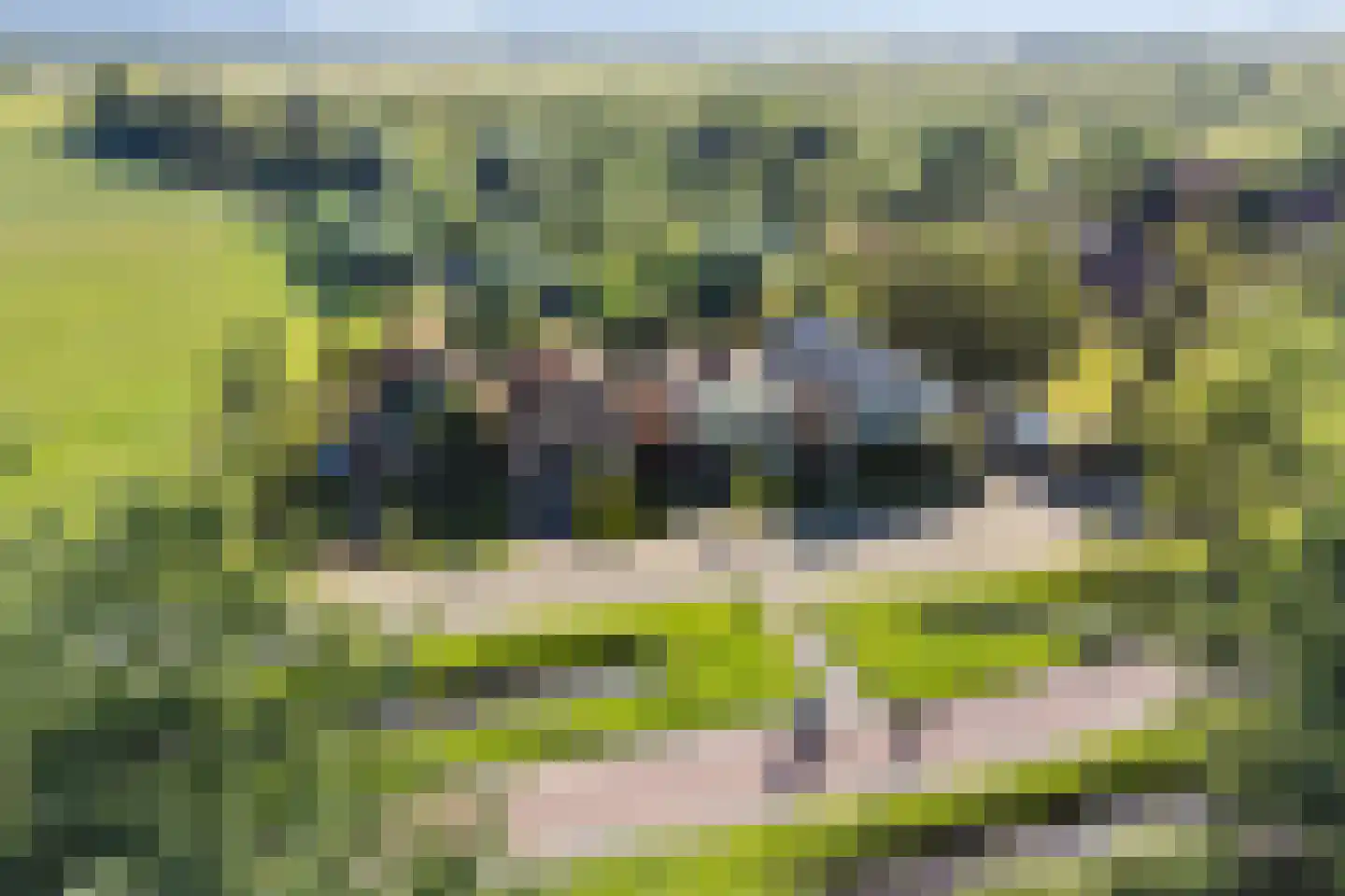 Communicatieweg Oost 4 Assendelft thumbnail 47