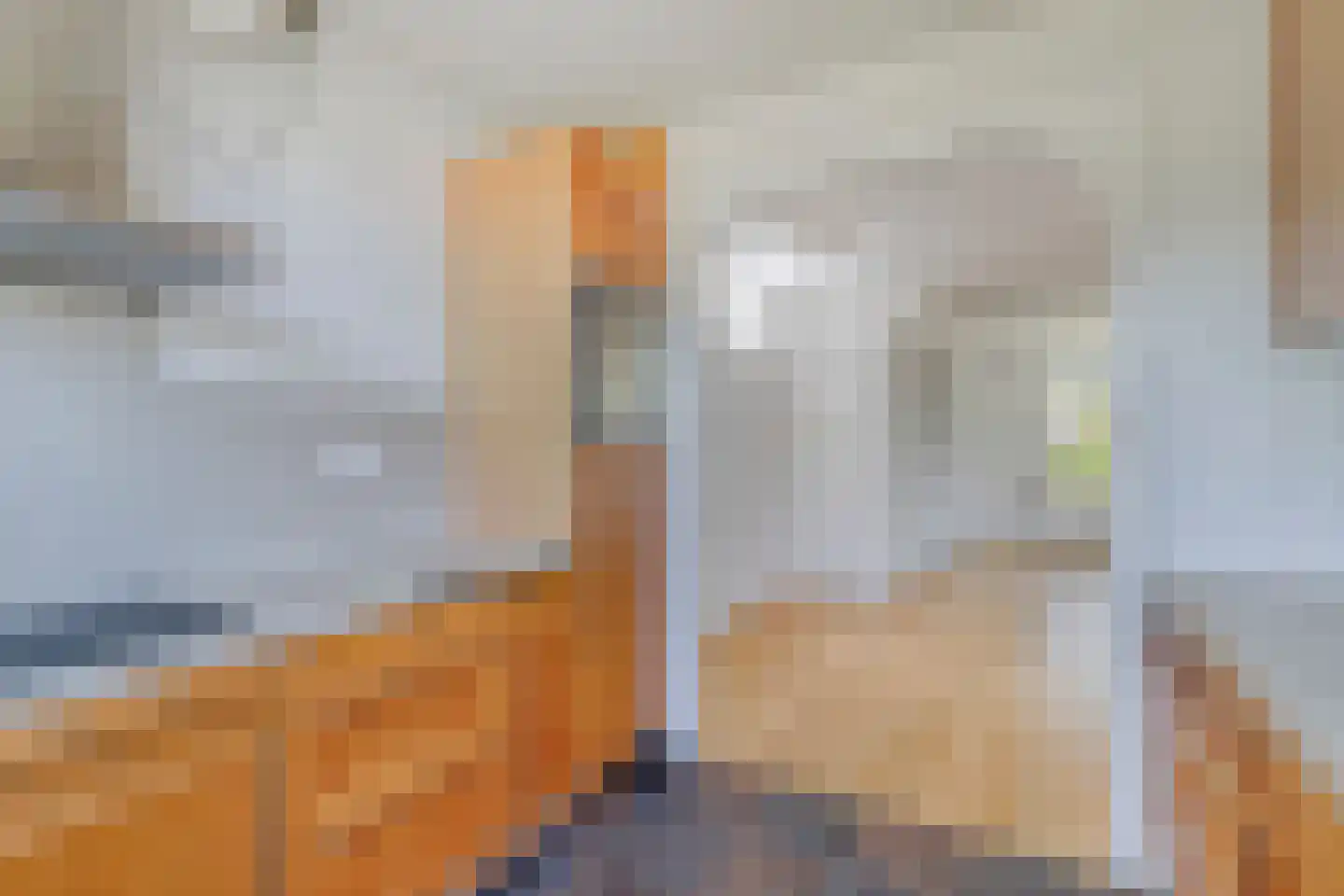 Communicatieweg Oost 4 Assendelft thumbnail 9