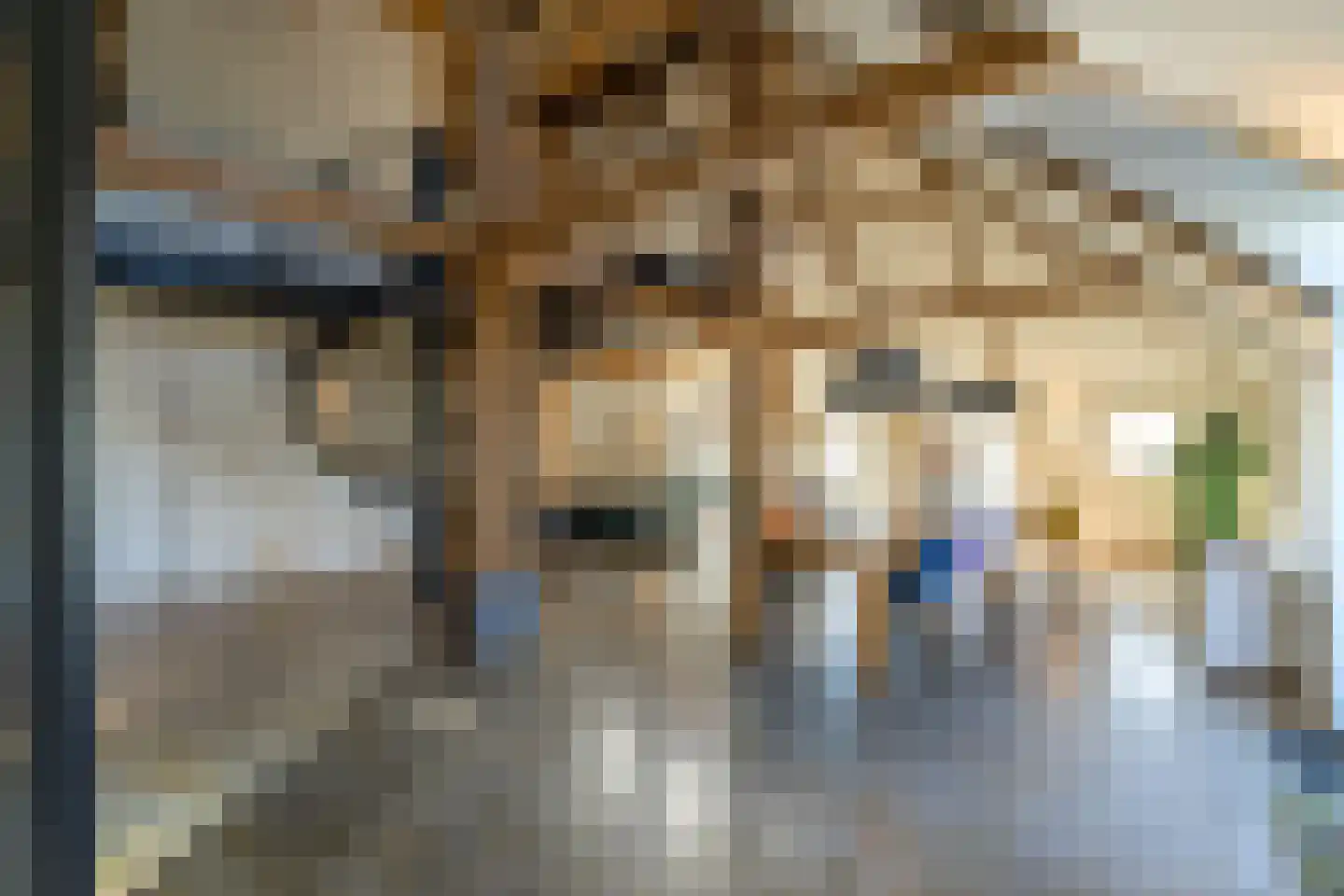 Communicatieweg West 26 Assendelft thumbnail 4