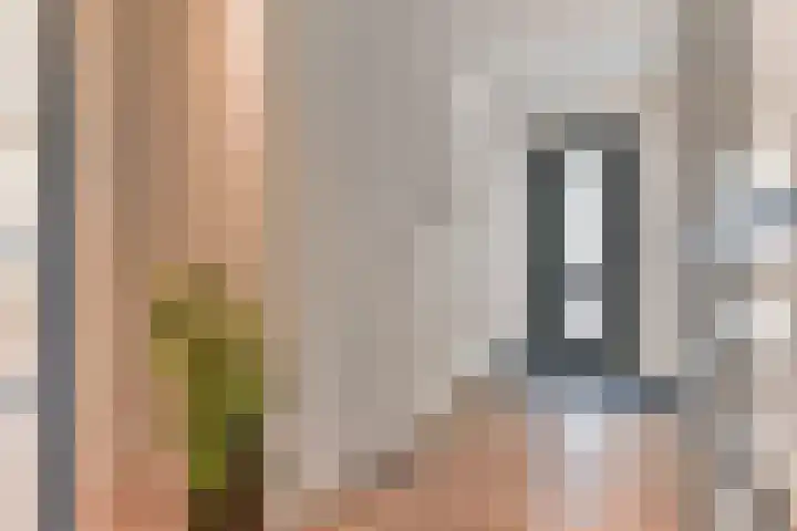 Comomeer 8 Amersfoort thumbnail 25
