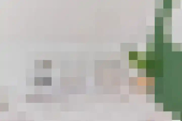 Comomeer 8 Amersfoort thumbnail 48