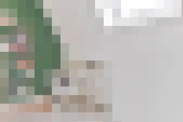 Comomeer 8 Amersfoort thumbnail 49