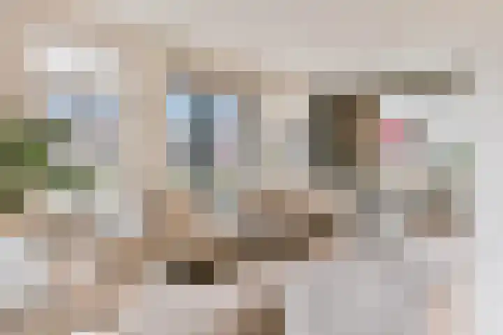 Comomeer 8 Amersfoort thumbnail 5