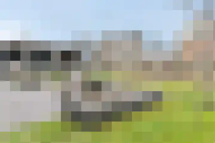 Comomeer 8 Amersfoort thumbnail 51