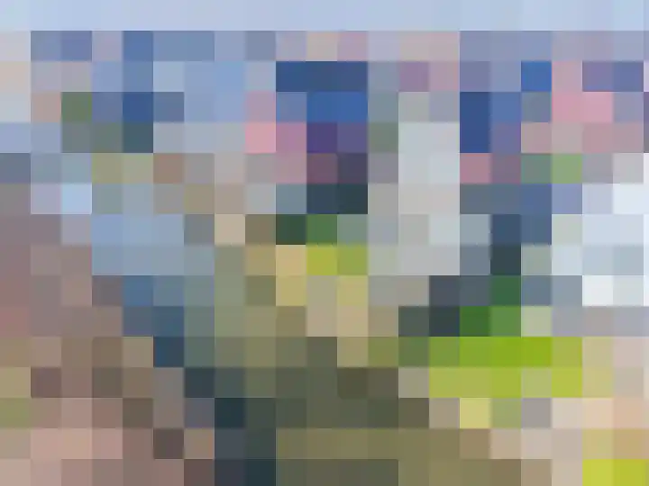 Comomeer 8 Amersfoort thumbnail 57