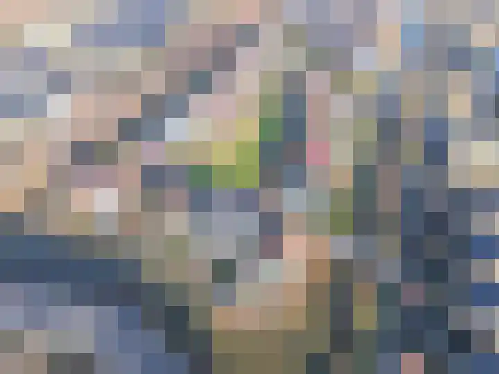 Comomeer 8 Amersfoort thumbnail 58