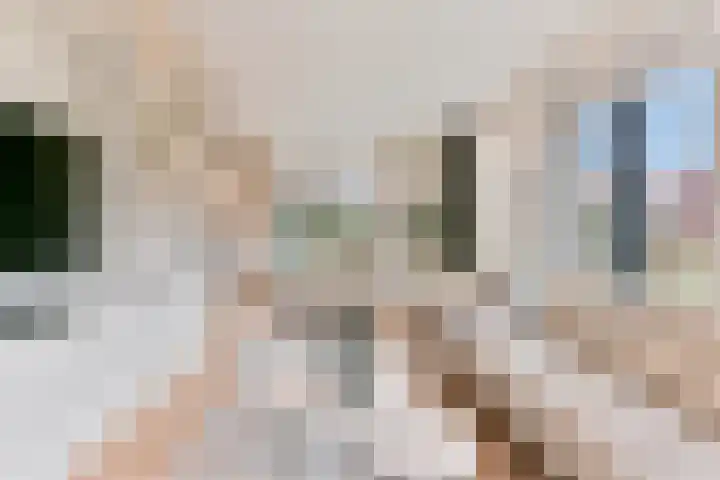 Comomeer 8 Amersfoort thumbnail 8