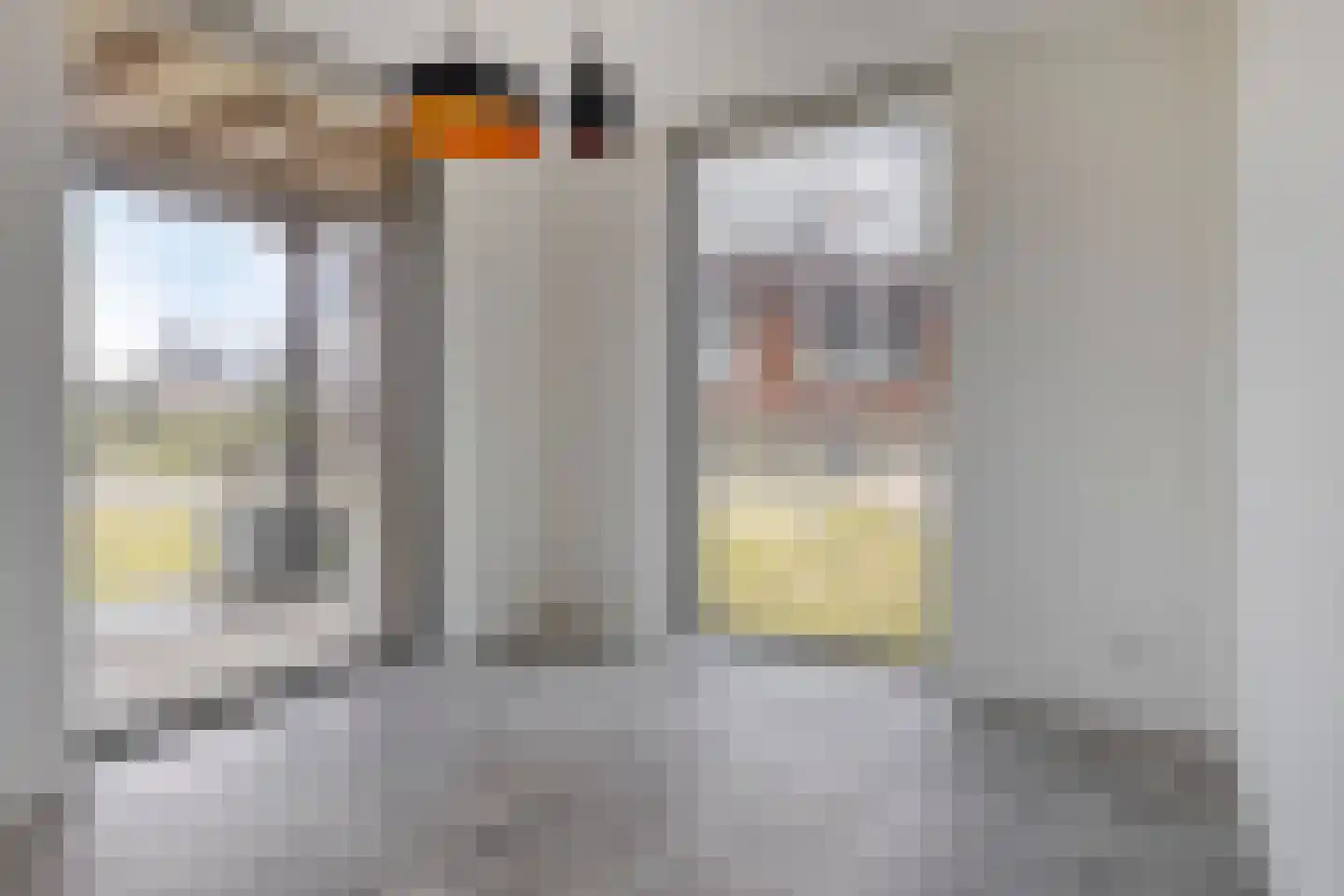 Comomeerpad 36 Zoetermeer thumbnail 11