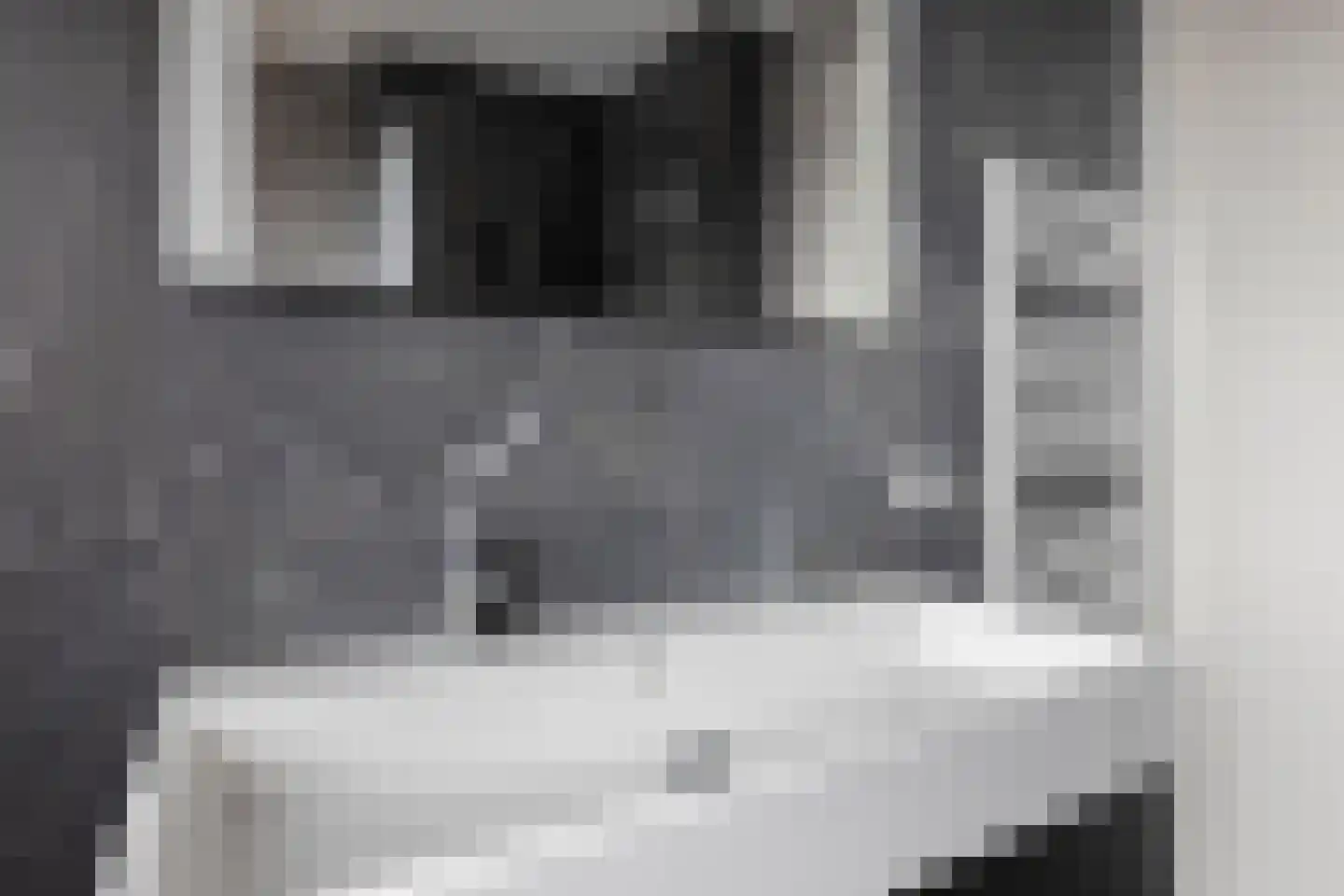 Comomeerpad 36 Zoetermeer thumbnail 19