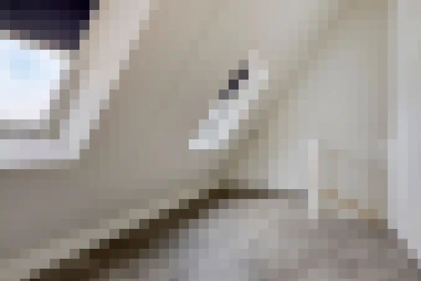 Comomeerpad 36 Zoetermeer thumbnail 26
