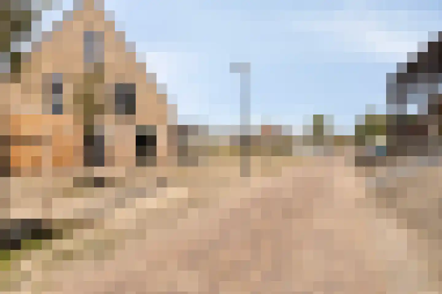Comomeerpad 36 Zoetermeer thumbnail 32