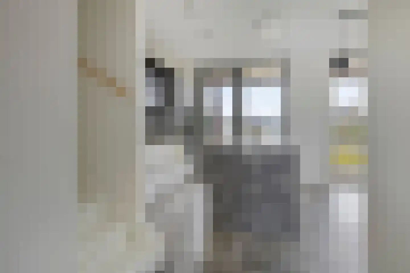 Comomeerpad 36 Zoetermeer thumbnail 9
