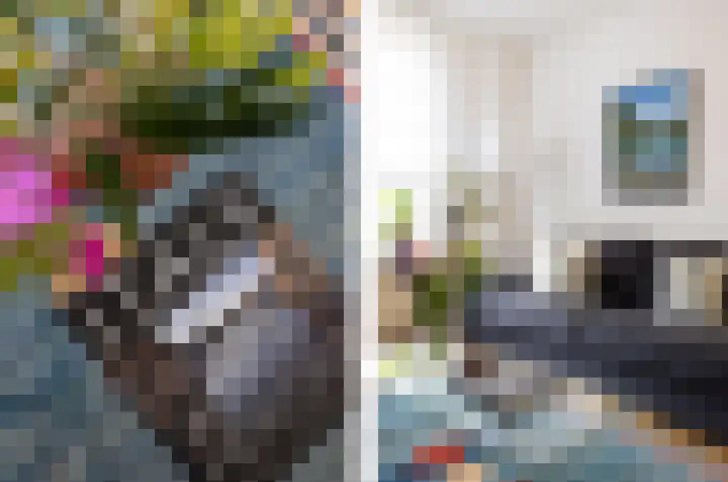 Comopad 28 Eindhoven thumbnail 13