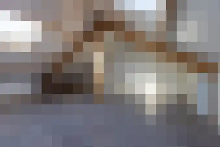 Comopad 28 Eindhoven thumbnail 17