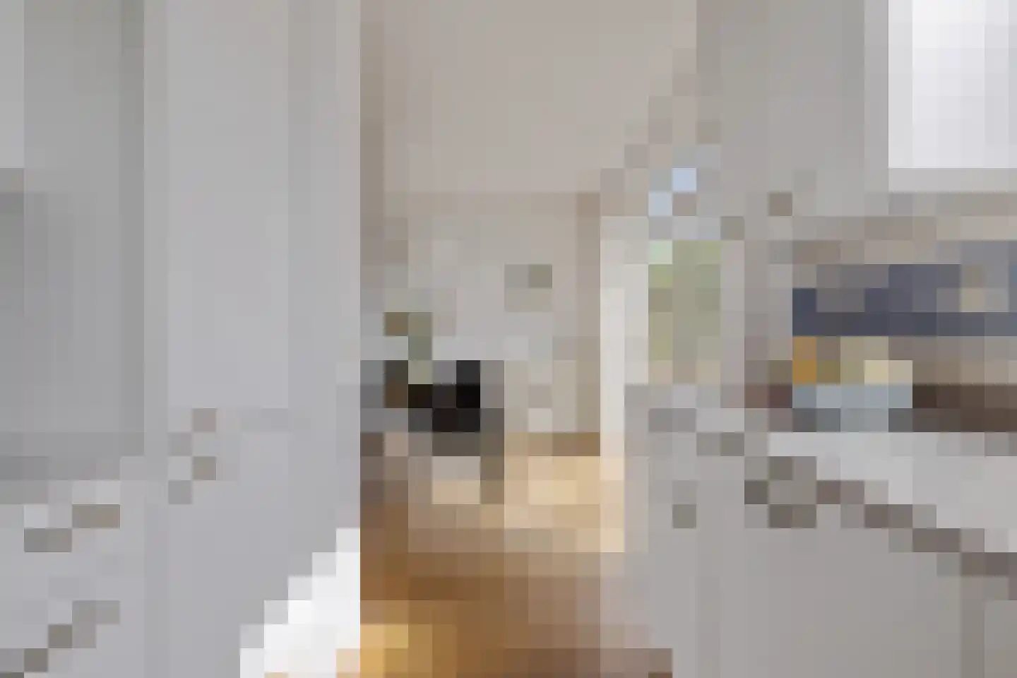 Comopad 28 Eindhoven thumbnail 23