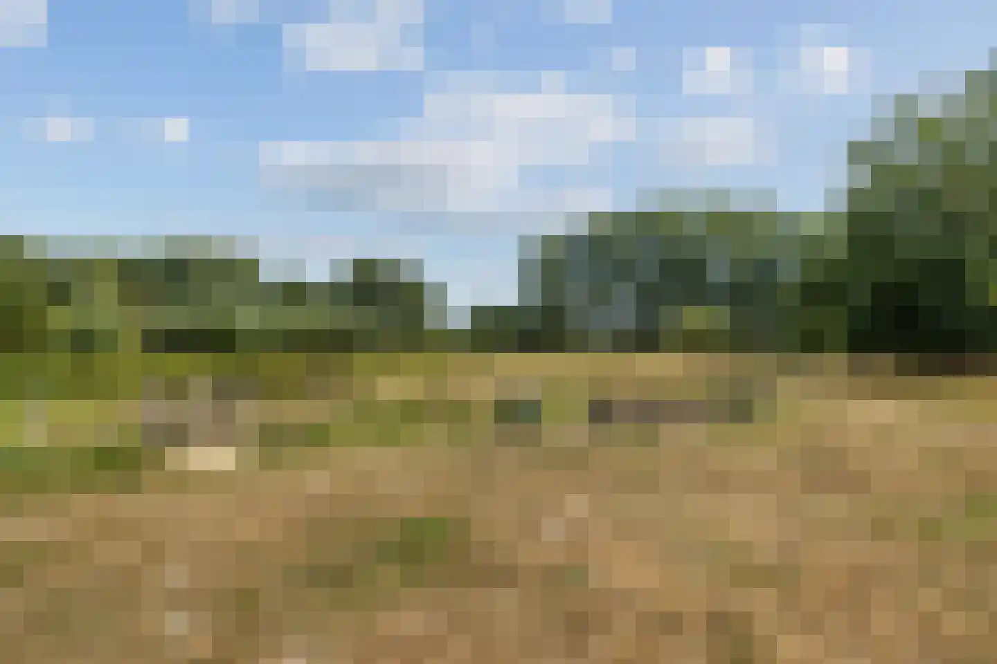 Comopad 28 Eindhoven thumbnail 50