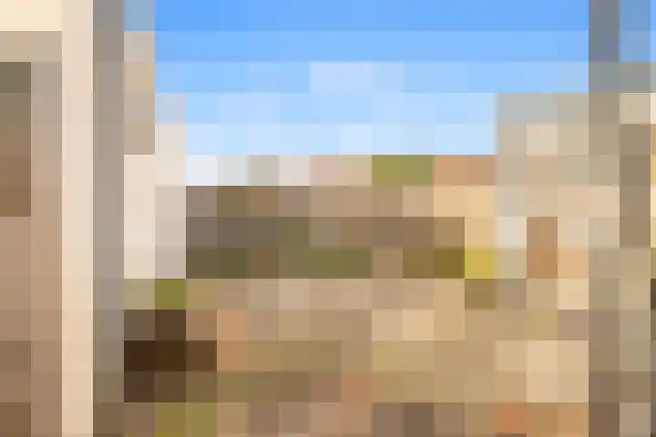Compaanhof 3 Castricum thumbnail 15