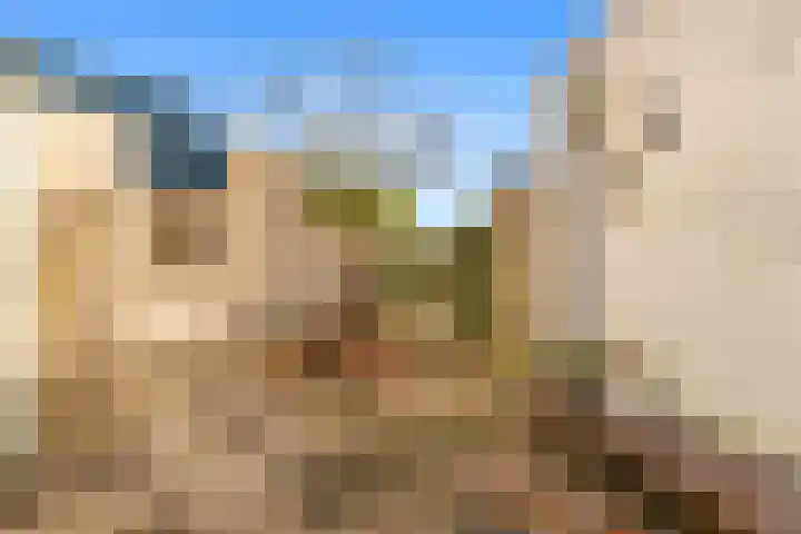 Compaanhof 3 Castricum thumbnail 16