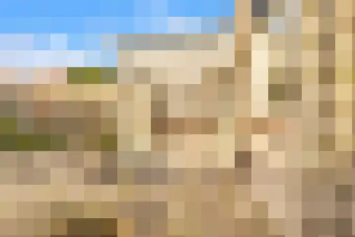 Compaanhof 3 Castricum thumbnail 18