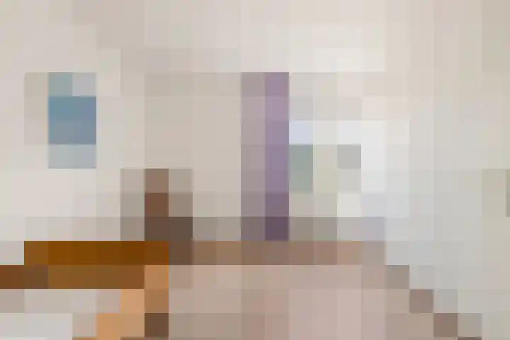 Compaanhof 3 Castricum thumbnail 20