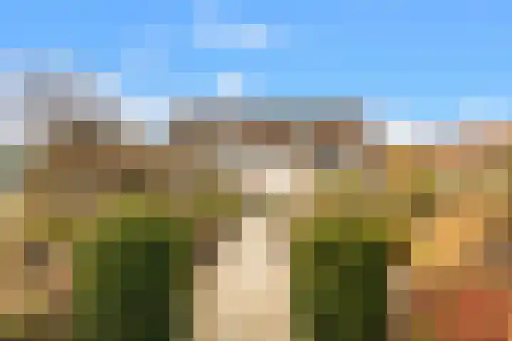 Compaanhof 3 Castricum thumbnail 31