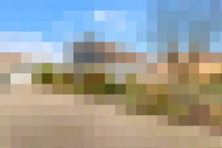 Compaanhof 3 Castricum thumbnail 32