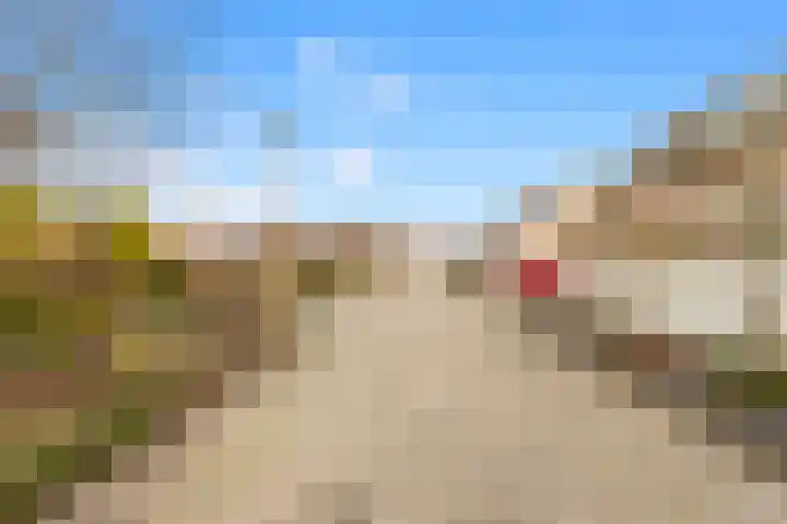 Compaanhof 3 Castricum thumbnail 33