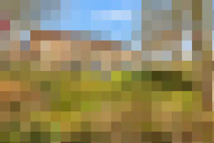 Compaanhof 3 Castricum thumbnail 38