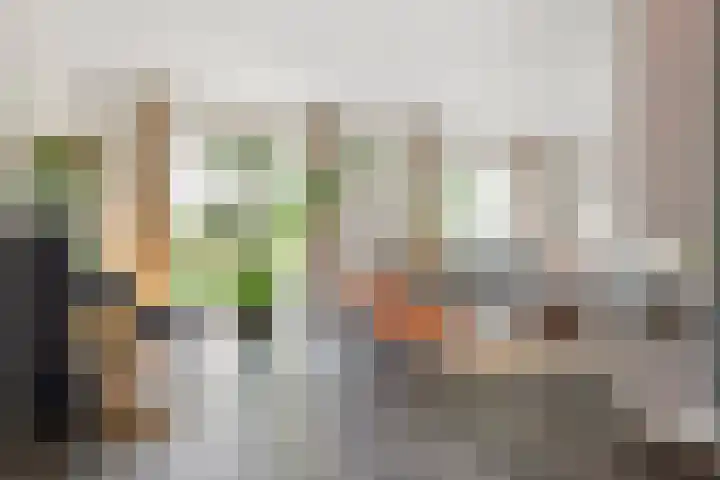 Compagnie 17 Ede thumbnail 18
