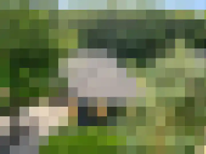 Compagnie 17 Ede foto 2