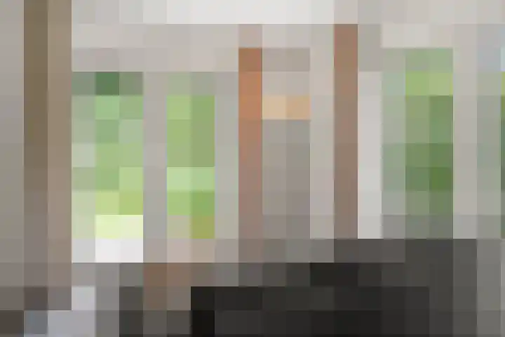 Compagnie 17 Ede thumbnail 22