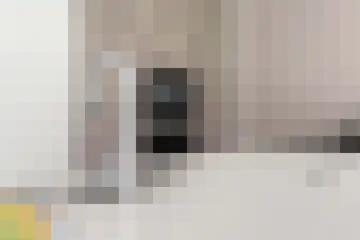 Compagnie 17 Ede thumbnail 25