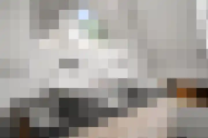 Compagnie 17 Ede thumbnail 38