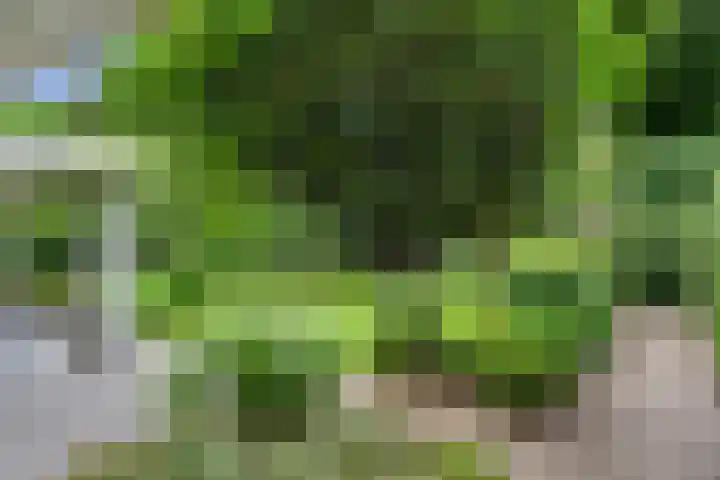 Compagnie 17 Ede thumbnail 4