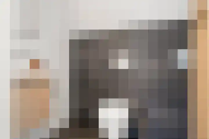 Compagnie 17 Ede thumbnail 43