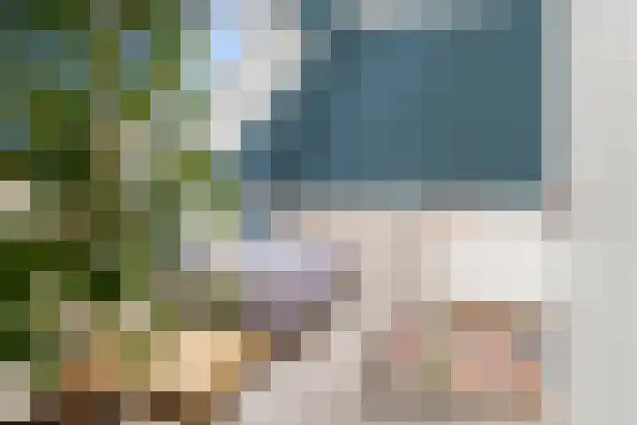 Compagnie 17 Ede thumbnail 44
