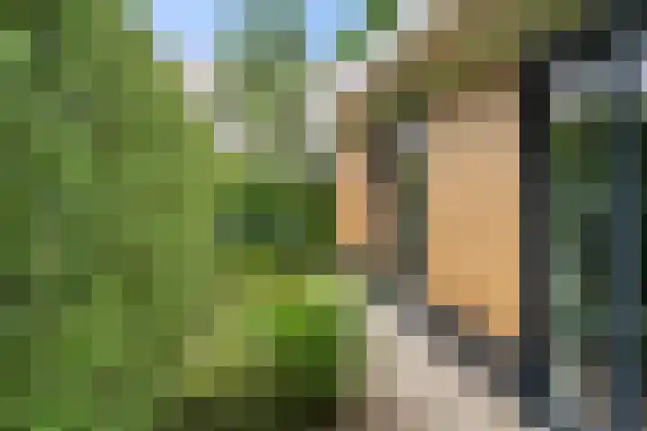 Compagnie 17 Ede thumbnail 47