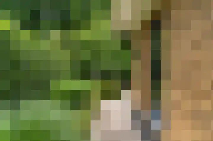 Compagnie 17 Ede thumbnail 48