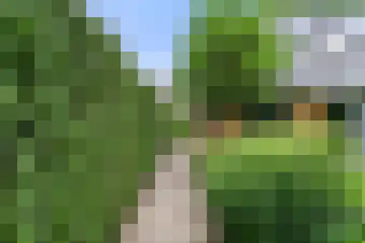 Compagnie 17 Ede thumbnail 49