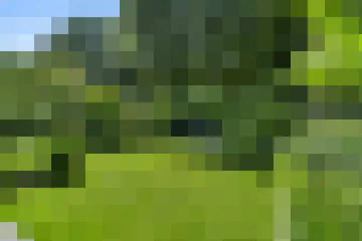 Compagnie 17 Ede thumbnail 5