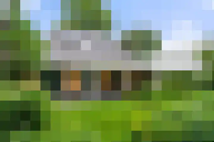 Compagnie 17 Ede thumbnail 50