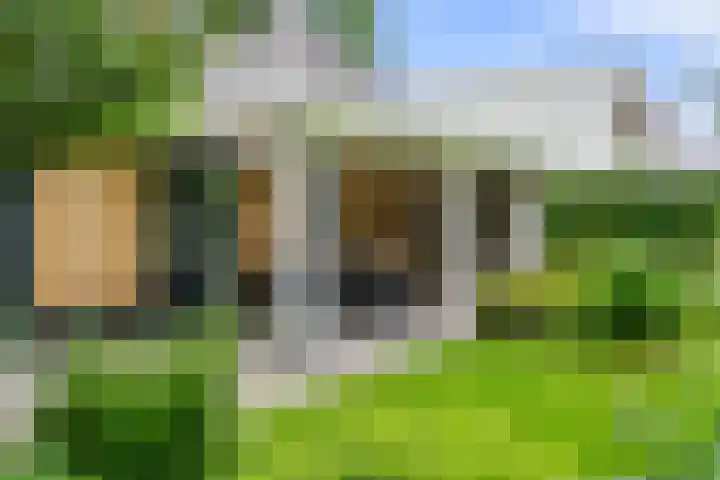 Compagnie 17 Ede thumbnail 51