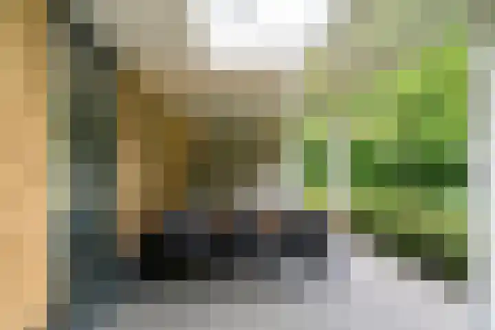 Compagnie 17 Ede thumbnail 53