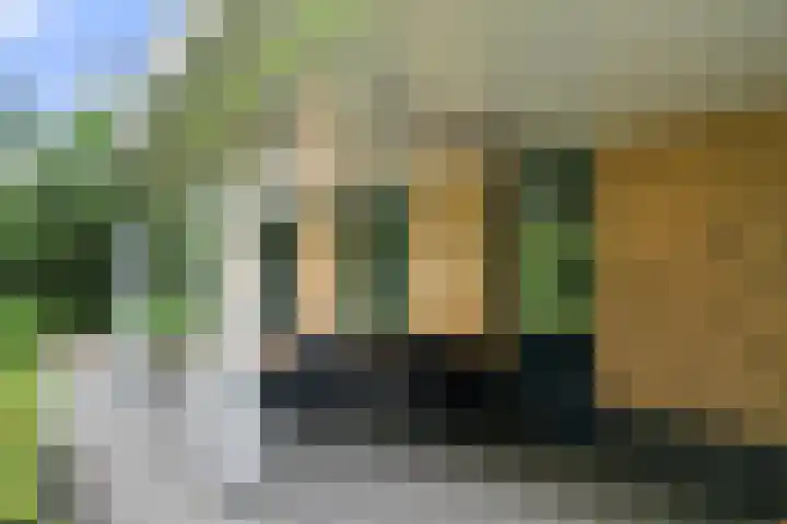 Compagnie 17 Ede thumbnail 54