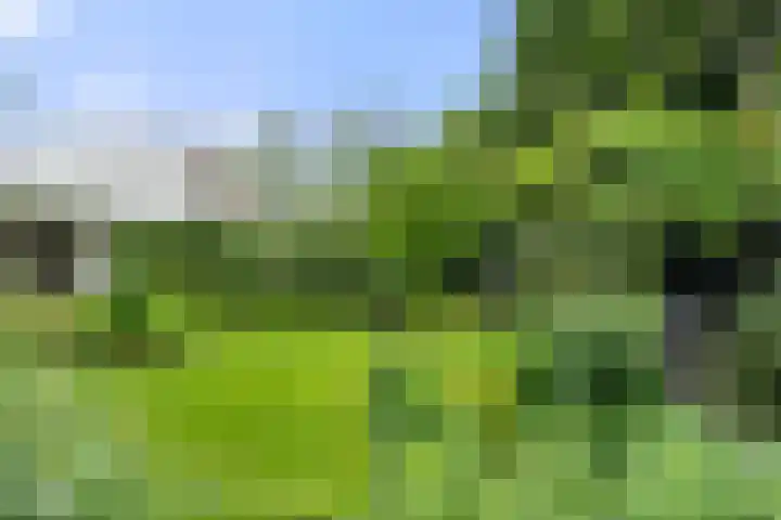 Compagnie 17 Ede thumbnail 57